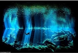 令人震撼的水下摄影（一）